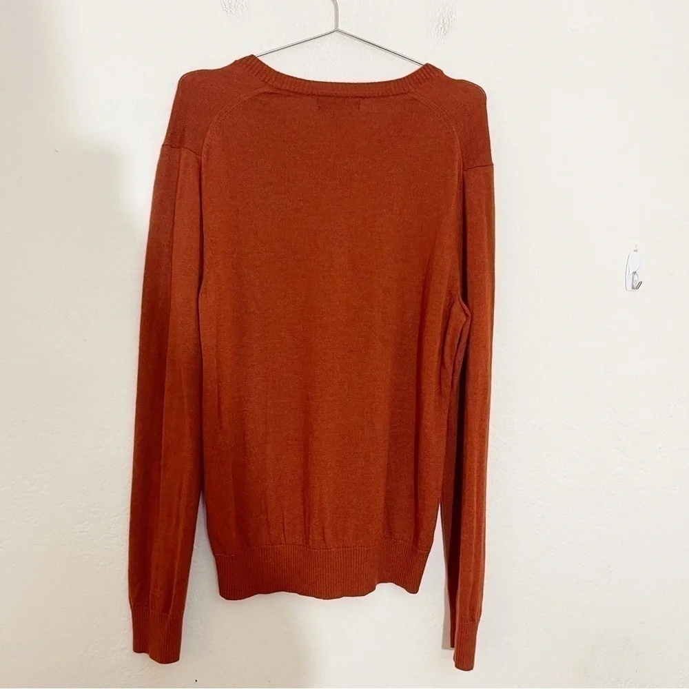 Banana Republic Extra Fine Merino Wool V-Neck Lightweight Sweater Large Brown